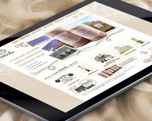 Twool ecommerce website design