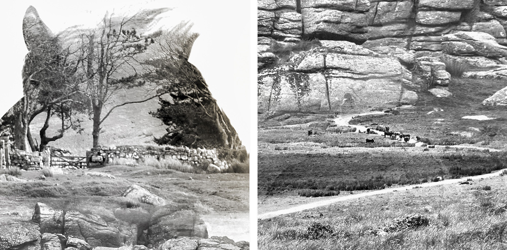 Dartmoor-Derby-branding-closeups1