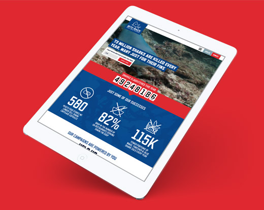 Bite-Back shark and marine conservation web design and brand refresh
